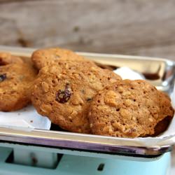 Apricot Choco Oatmeal Cookies