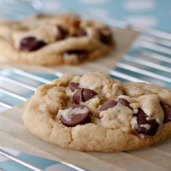 Chocolate Chip Cookie