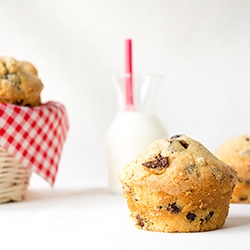 Chocolate Chip Muffins