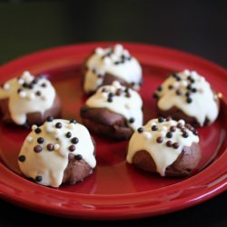 Cocoa and Passionfruit Profiteroles