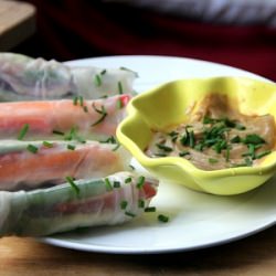 Vegan Spring Rolls