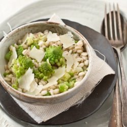 Barley Salad, Broccoli and Cheese