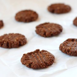 Low(er) Carb Choco Peanut Butter