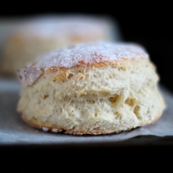 Greek Yogurt Biscuits