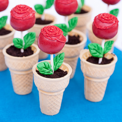 Edible Flower Pots