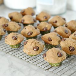 Mini Banana Chocolate Chip Muffin