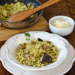 Orzotto