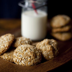 Dairy Free Double Coconut Cookies