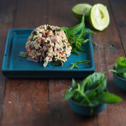 Larb Gai – Thai Chicken Salad