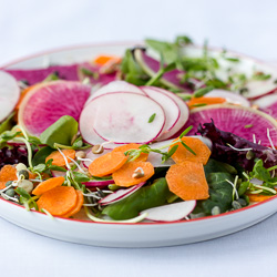 Sprouted Radish Salad