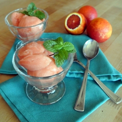 Blood Orange Sherbet