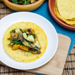 Chanterelle & Roasted Kabocha Tacos