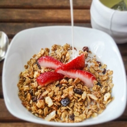 The One Ingredient Granola