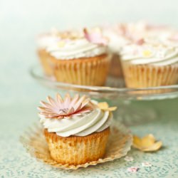 Vanilla Cupcakes