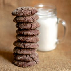 Vegan Spicy Hot Cocoa Snickerdoodle