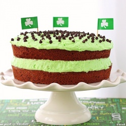 Chocolate Cake with Mint Buttercream