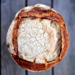 24-Hour Durum Sourdough