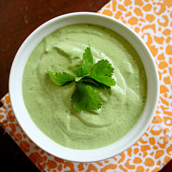 Creamy Raw Hemp Cilantro Dressing