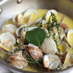 Fresh Clams Steamed in Lemon Butter