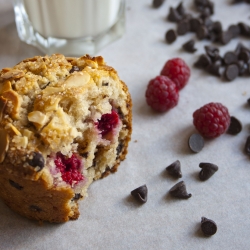 Chocolate Chip Raspberry Muffin