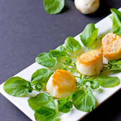 Pan Seared Scallops