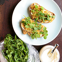 Pea Shoot Tartine