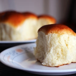 Honey Milk Rolls