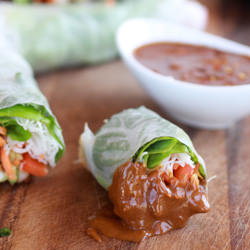 Avocado and Chicken Spring Rolls