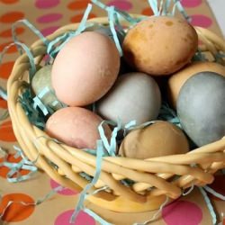 Homemade Easter Egg Dye