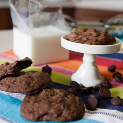 Ultimate Chocolate Cookies