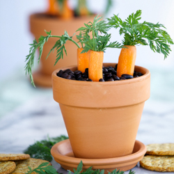 Black Bean Hummus in Flower Pots