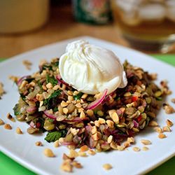 Lentils with Herbs and Poached Egg