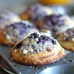 Blueberry Muffins