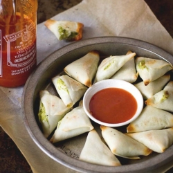 Coconut and Edamame Samosas