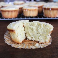 Glazed Lime Poppy Seed Muffins