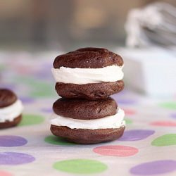 Paleo Ice Cream Sandwiches