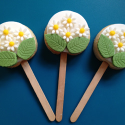 Daisy Cookie Pops