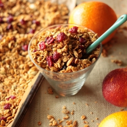 Vegan Cranberry Orange Granola