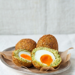 Falafel Scotch Eggs