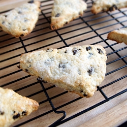 Currant Scones