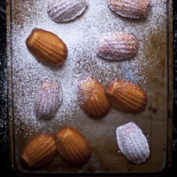 Honey Madeleines