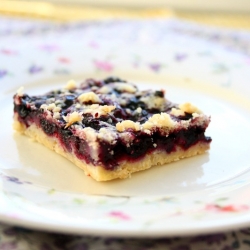 Blueberry Crumb Bars