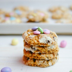 Chocolate Chip Crinkle Cookies