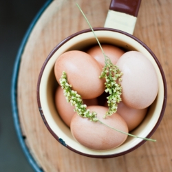 Lemongrass Egg Curry