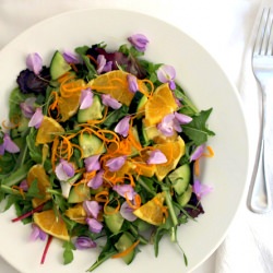 Spring Salad