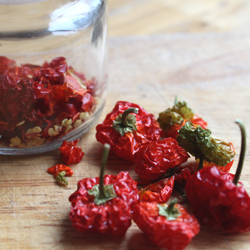 Hot Dried Chillies