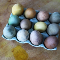 Naturally Dyed Easter Eggs