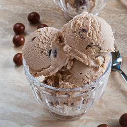 Chocolate Malted Ice Cream