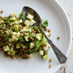 Pardina Lentil Salad