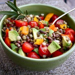 Sprouted Bean Salad